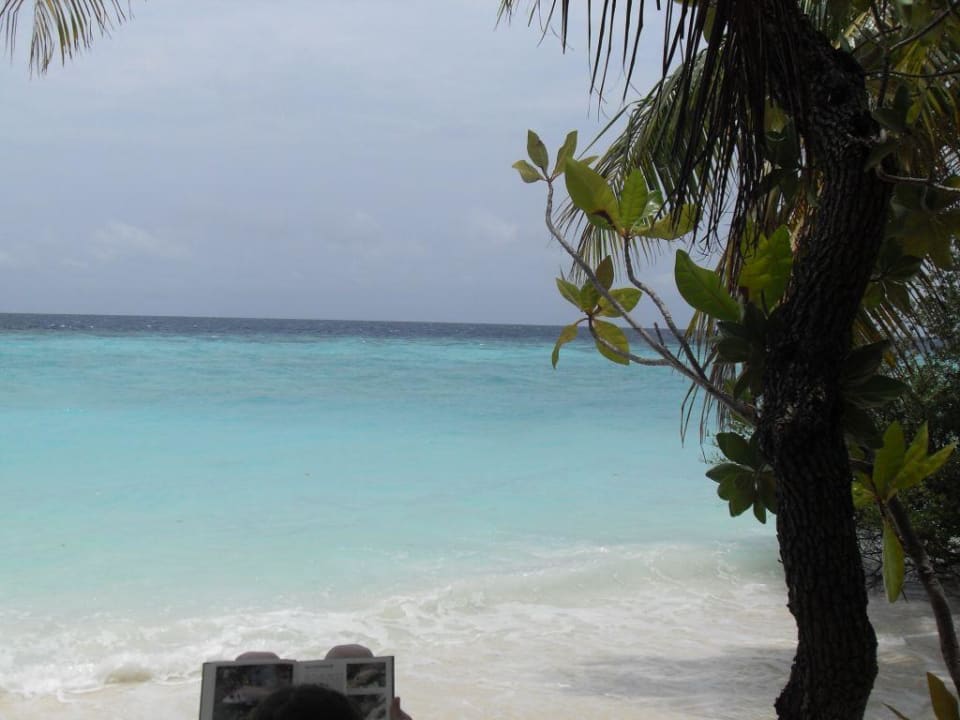 Blick vor unserem Bungalow Eri Maldives