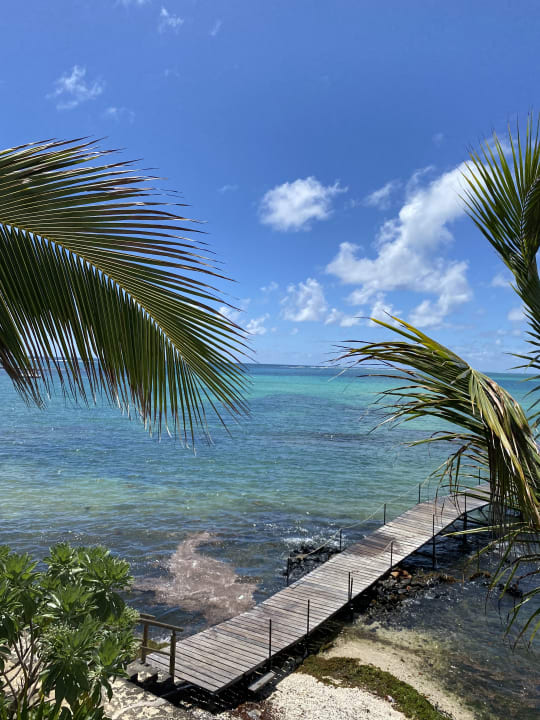 Ausblick Tropical Attitude - Adults only