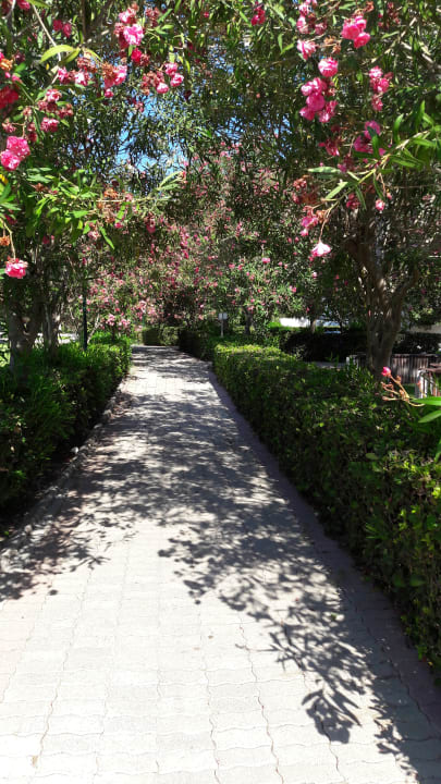 Gartenanlage Hotel Calypso Beach