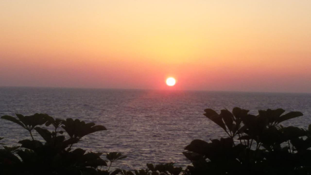 Ausblick Hotel Cynthiana Beach