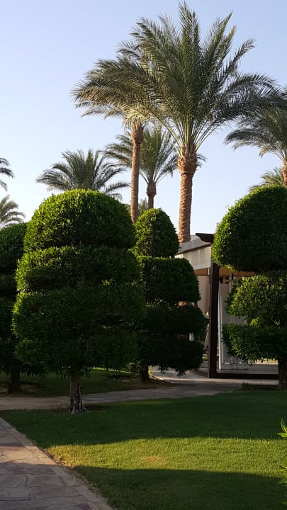 Gartenanlage Jaz Makadina