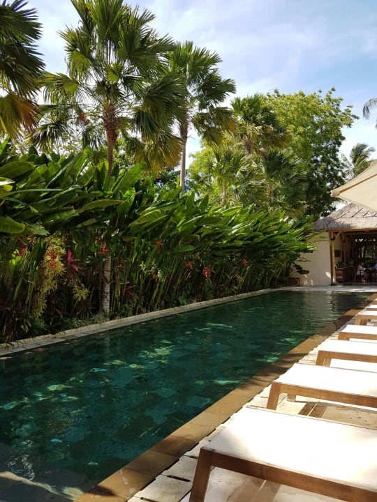 Pool Hotel The Open House Bali