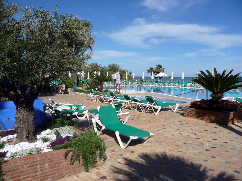 Pool Hotel MS Amaragua