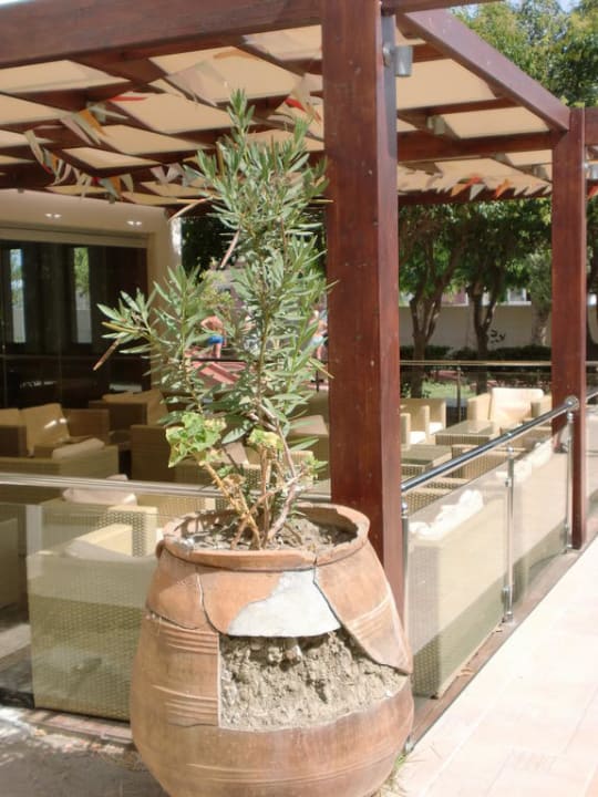 Schön? Ialyssos Bay