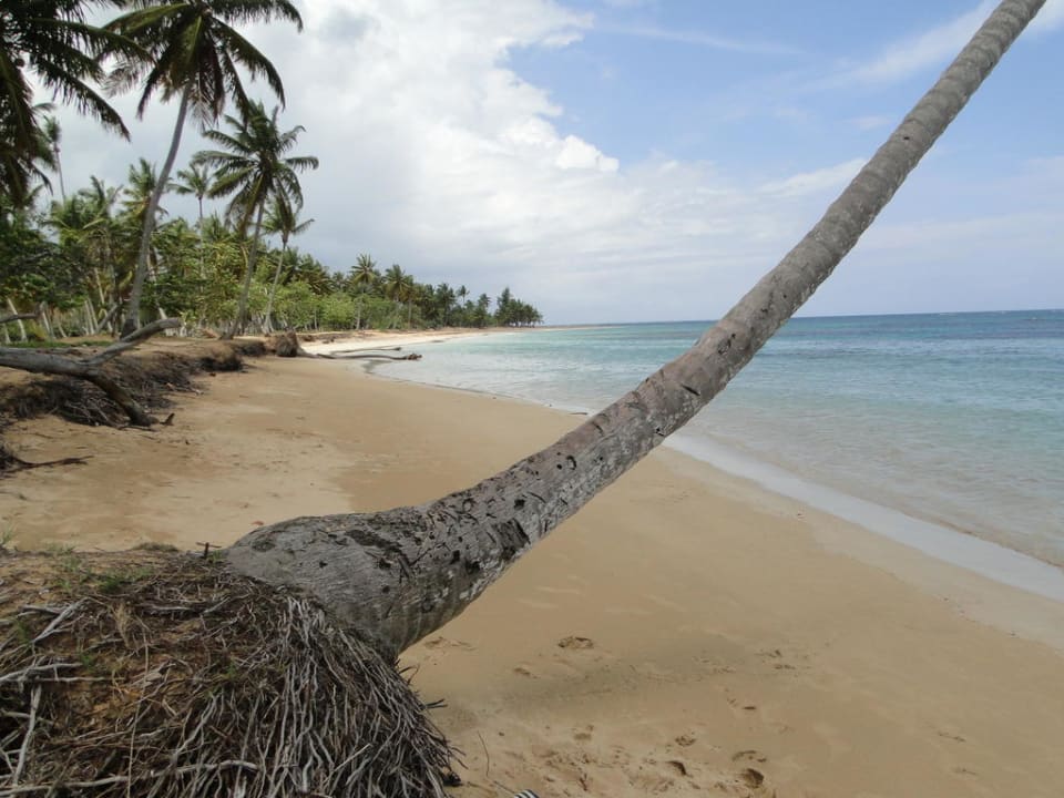 Пляж слева от отеля Bahia Principe Grand El Portillo