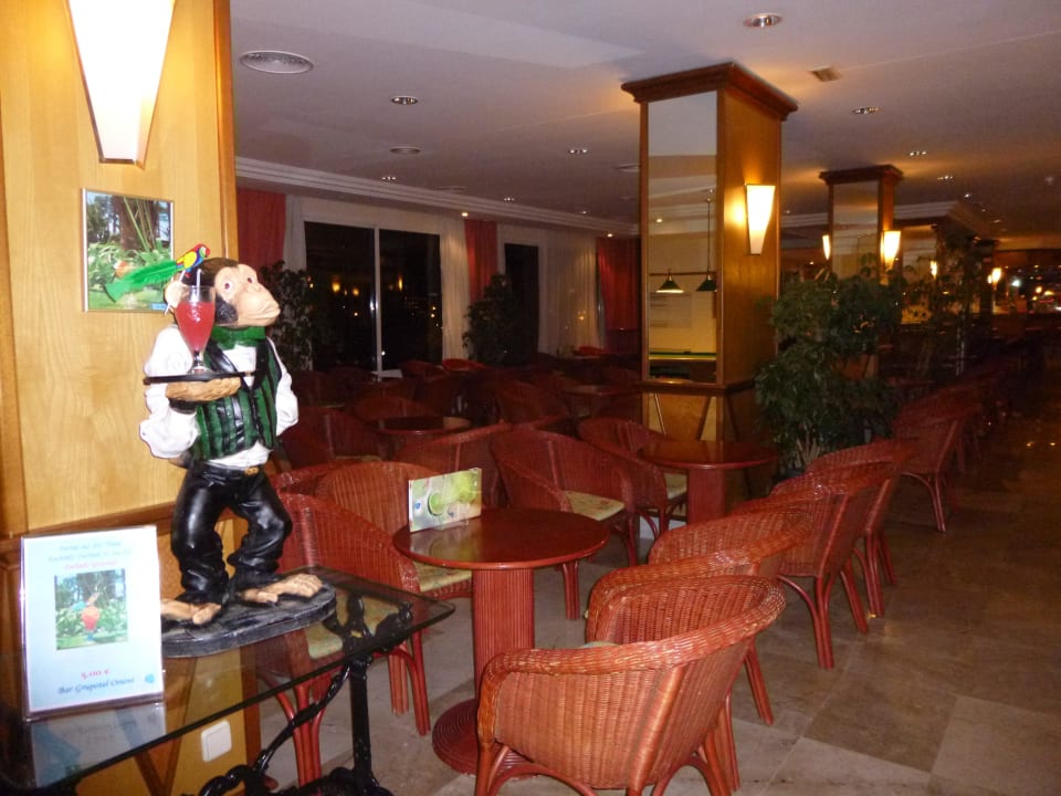 Bar Grupotel Orient