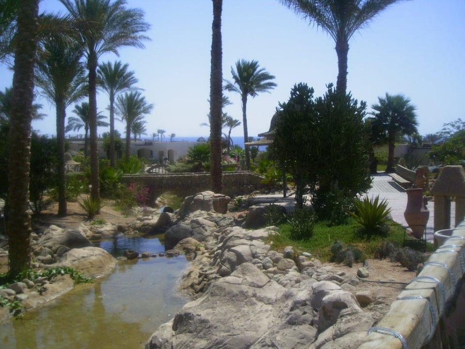 Anlage Parrotel Beach Resort