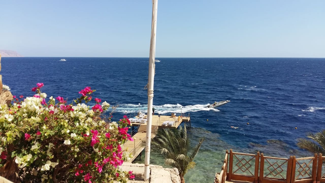 Ausblick Pickalbatros Golf Beach Resort