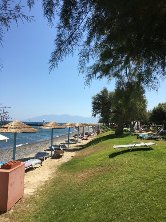 Strand TUI BLUE Oceanis Beach and Spa Resort