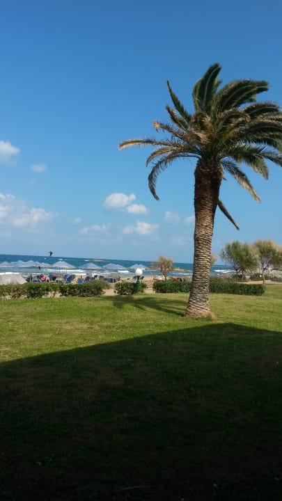Blick aus dem Zimmer Calimera Sirens Beach