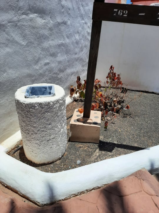 Gartenanlage Aldiana Club Fuerteventura