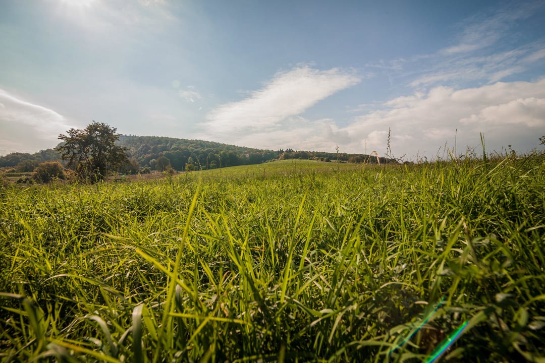 Kauzenburg Hotel Kauzenburg
