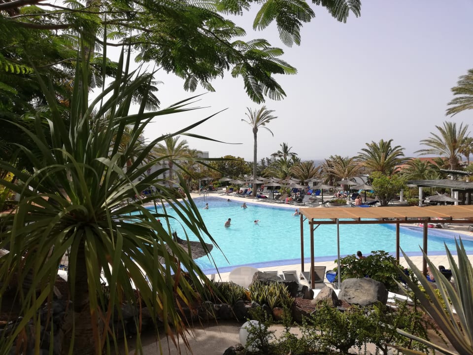 Pool allsun App.-Hotel Esquinzo Beach