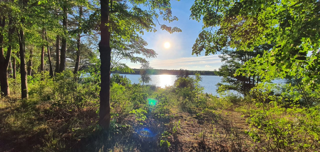 Strand Familienpark Senftenberger See