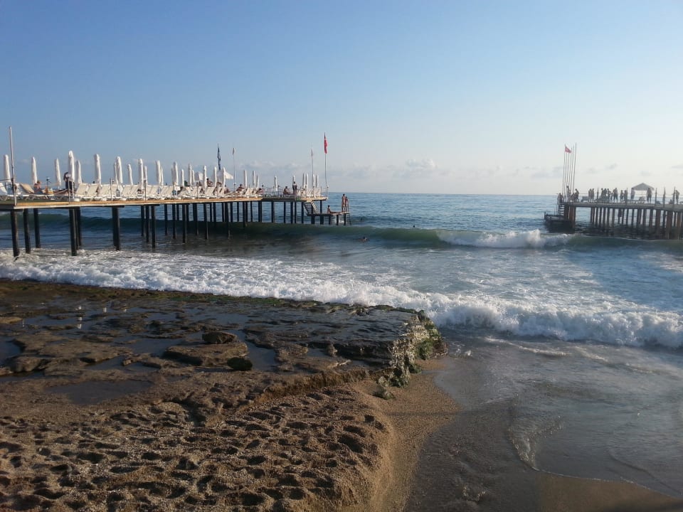 10 Dizalya Palm Garden