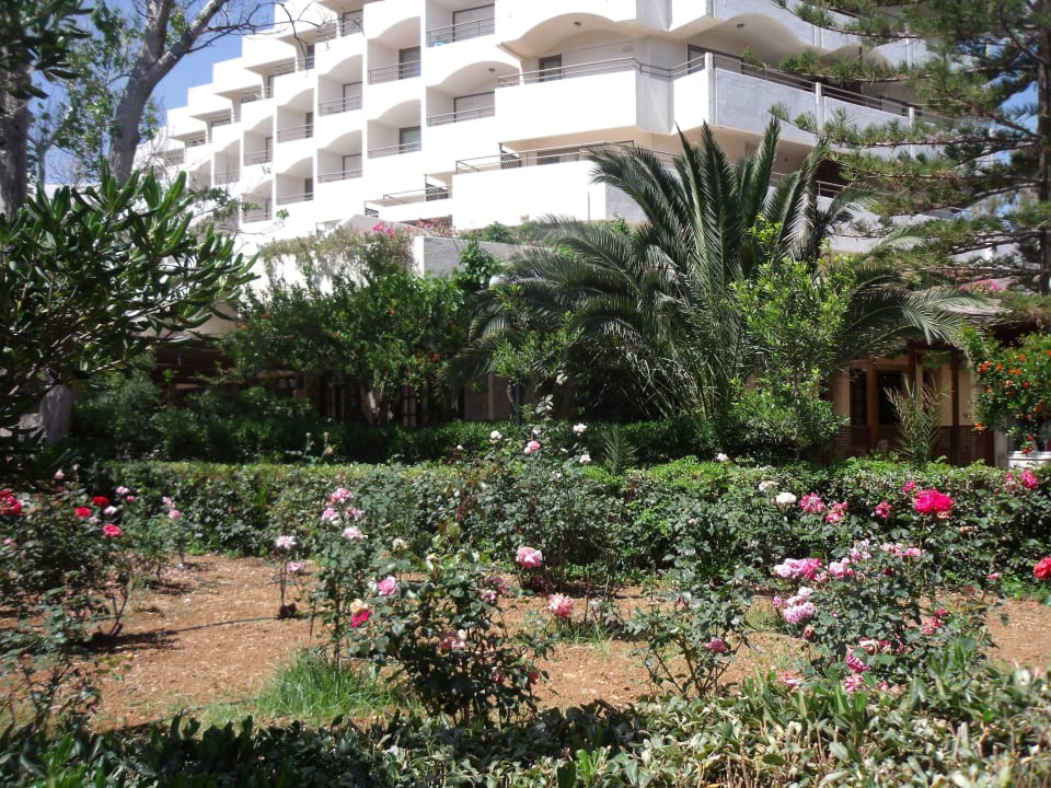 Grosse schöne Gartenanlage Apollonia Beach Resort & Spa