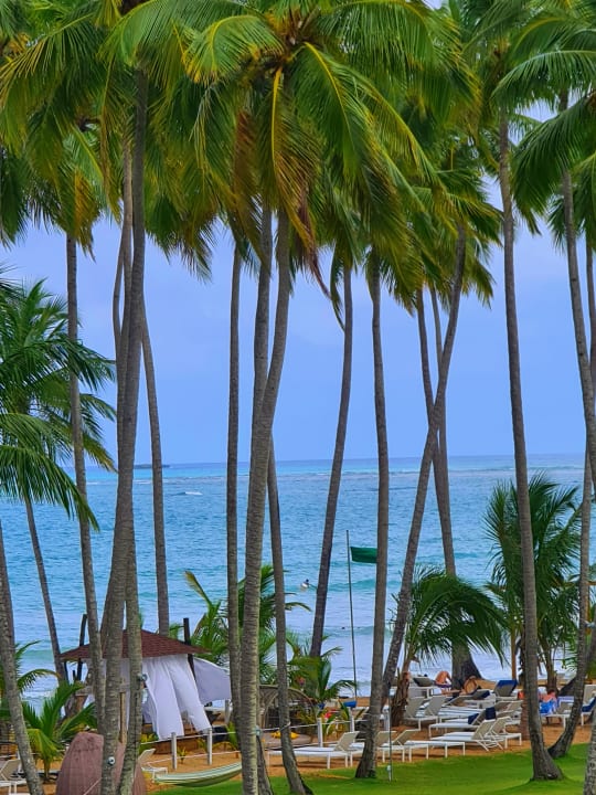 Ausblick Viva V Samana by Wyndham – Adults Only