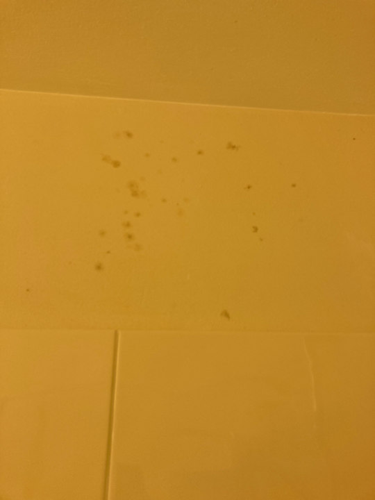 Zimmer Best Western Hotel Lippstadt