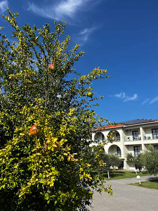 Gartenanlage Akrathos Beach Hotel