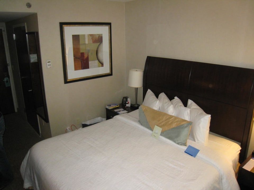 King Evolution Hotel Hilton Garden Inn New York/West 35th Street