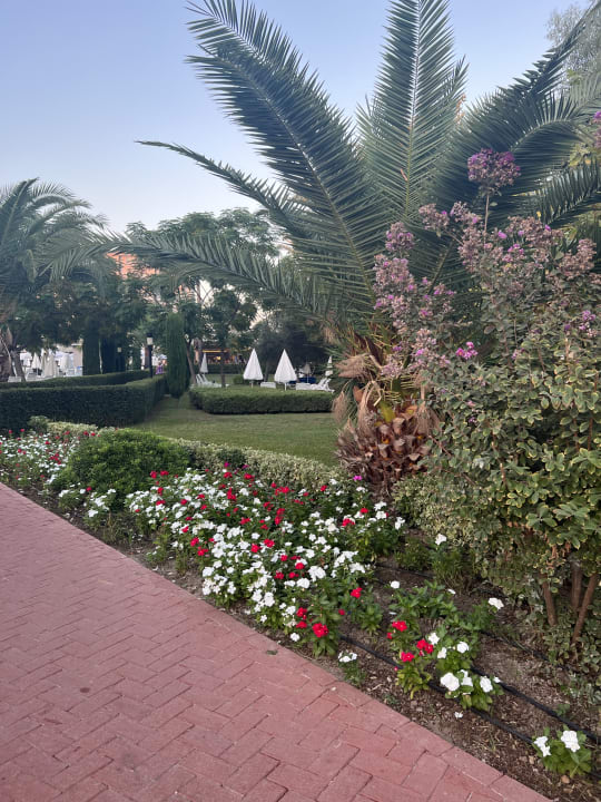 Gartenanlage Sunis Elita Beach Resort & Spa