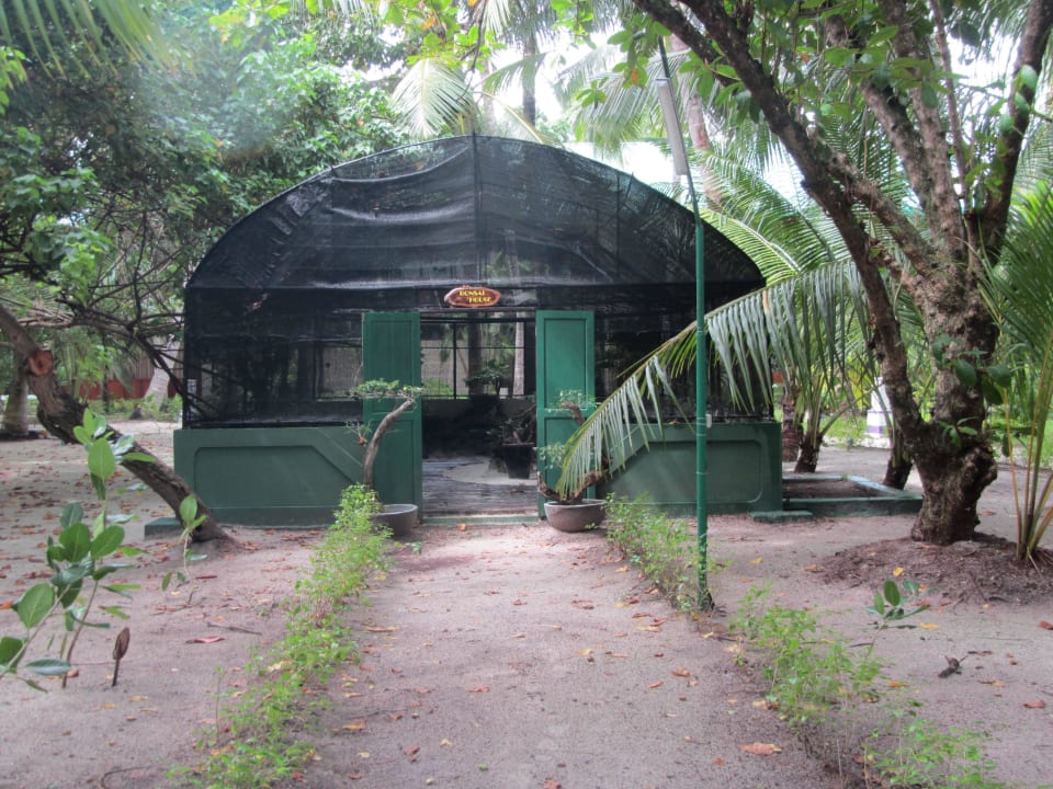 Bonsaihaus Ellaidhoo Maldives by Cinnamon