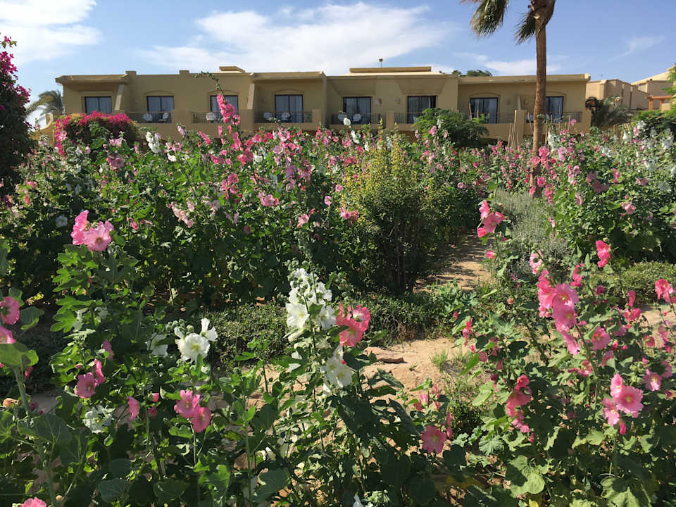 Außenansicht Three Corners Fayrouz Plaza Beach Resort