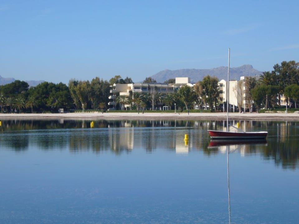 Vanity Golf ( Viva Golf ) VIVA Golf - Adults only 18+