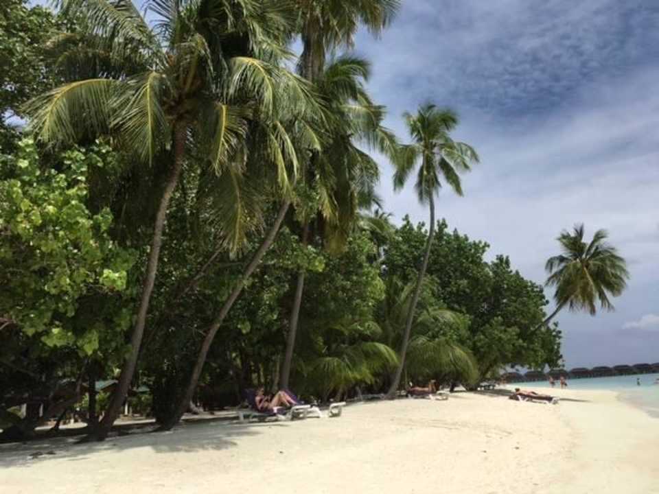 Plaża  Meeru Maldives Resort Island