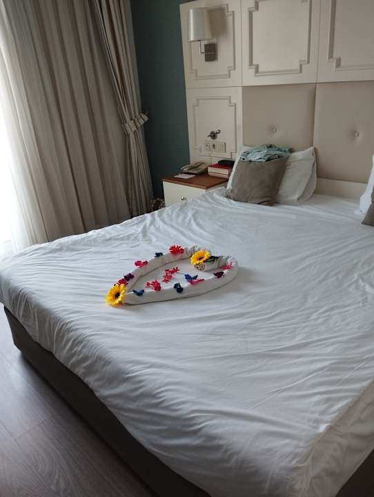 Zimmer Well Palace Side