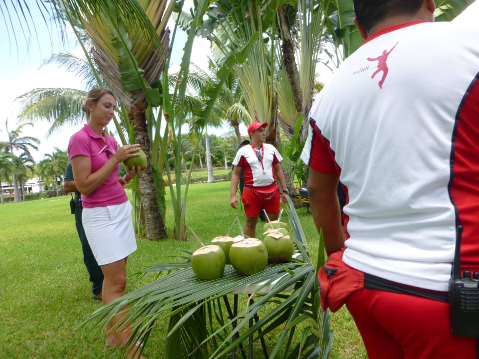 Hoteltour mit Kokusnüssen zum Trinken Hotel Riu Palace Mexico