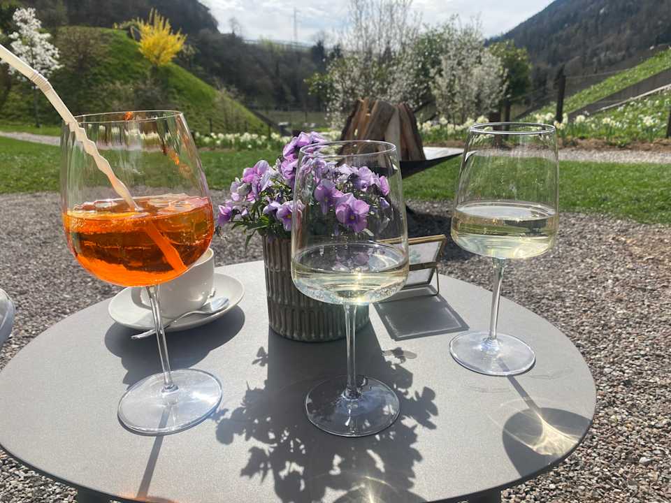 Gartenanlage Apfelhotel - Torgglerhof (Saltaus)