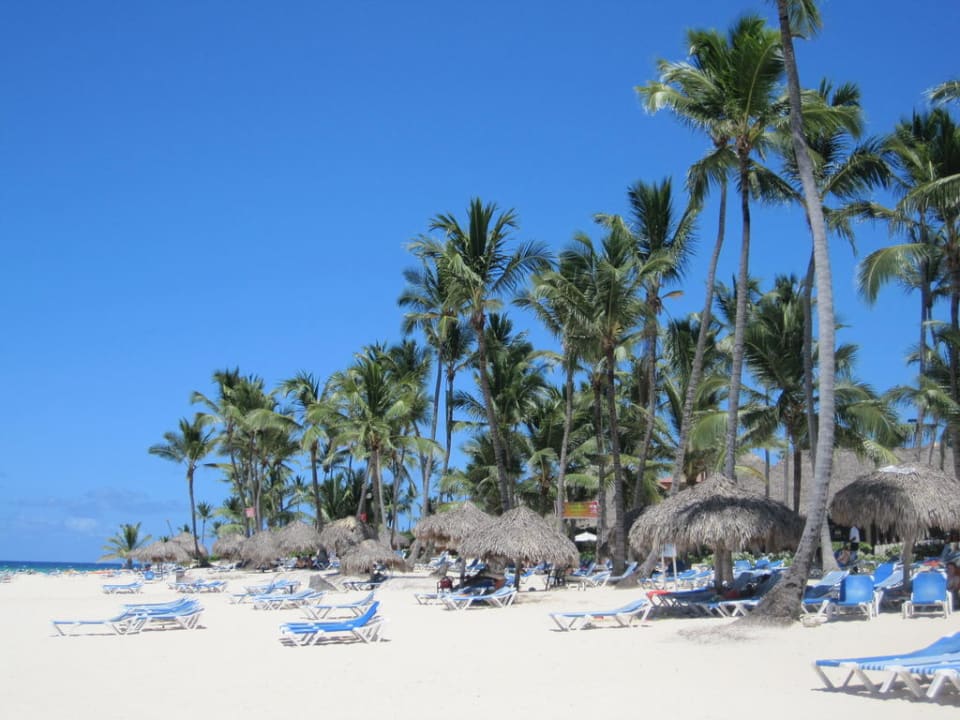Strand Royalton Splash Punta Cana