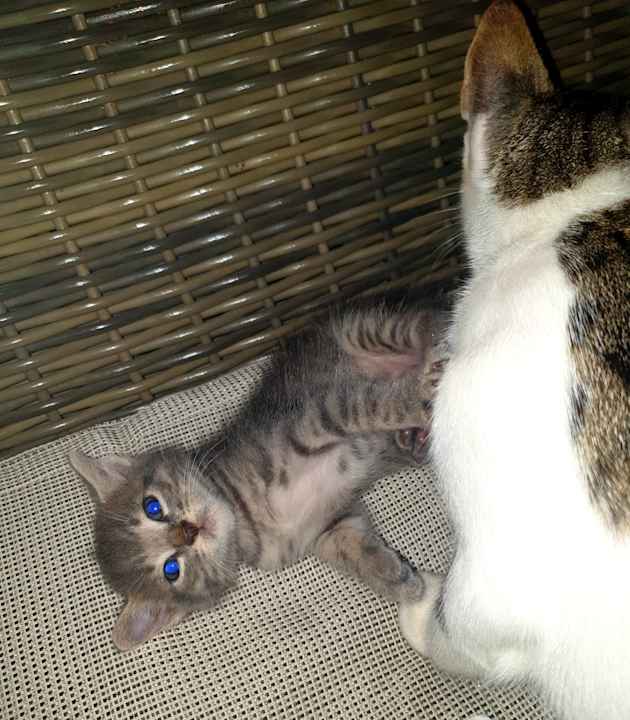 Sonstiges Sultan of Dreams Hotel & Spa