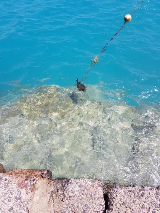 Strand LABRANDA Club Makadi