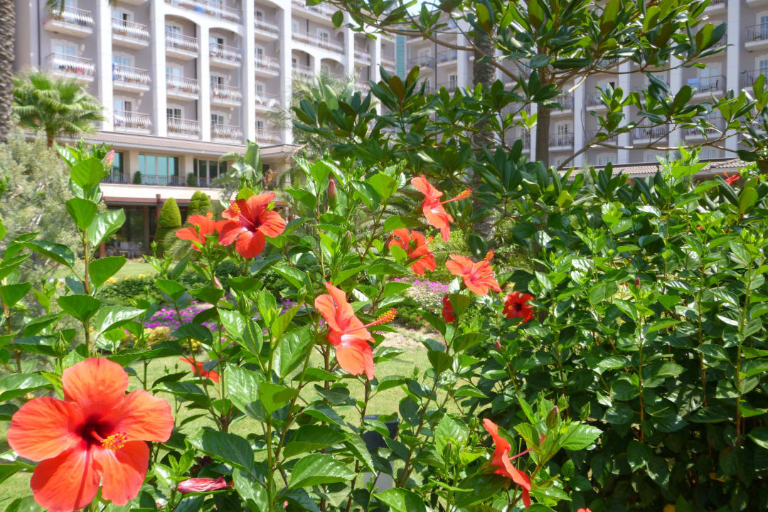Blütenpracht überall Sunis Elita Beach Resort & Spa