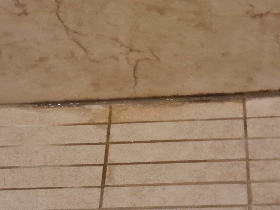 Zimmer Well Palace Side