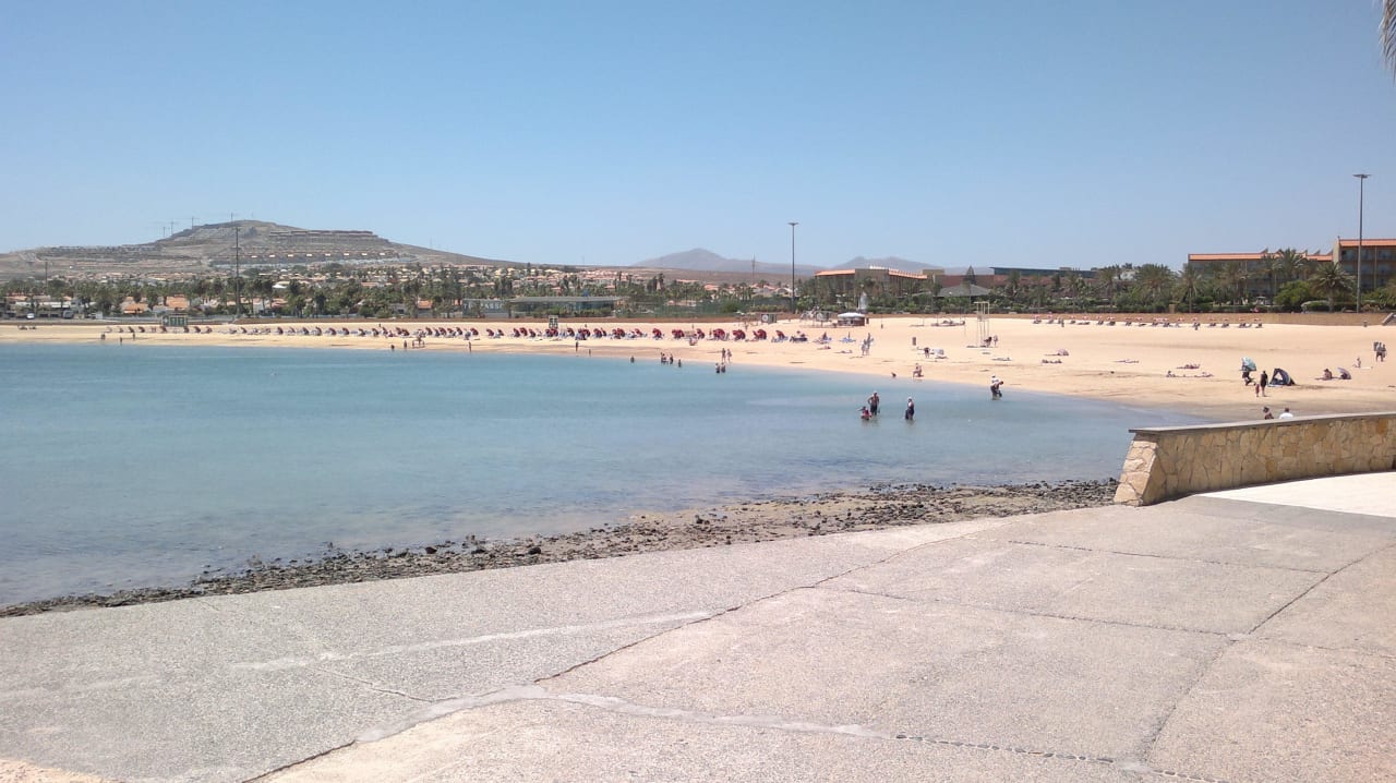 Blick von der Bar zum Strand Barceló Fuerteventura Castillo