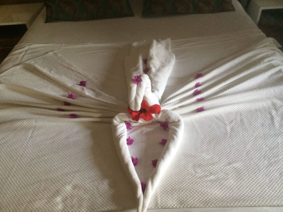 Jeden Tag eine neue Überraschung My Home Resort