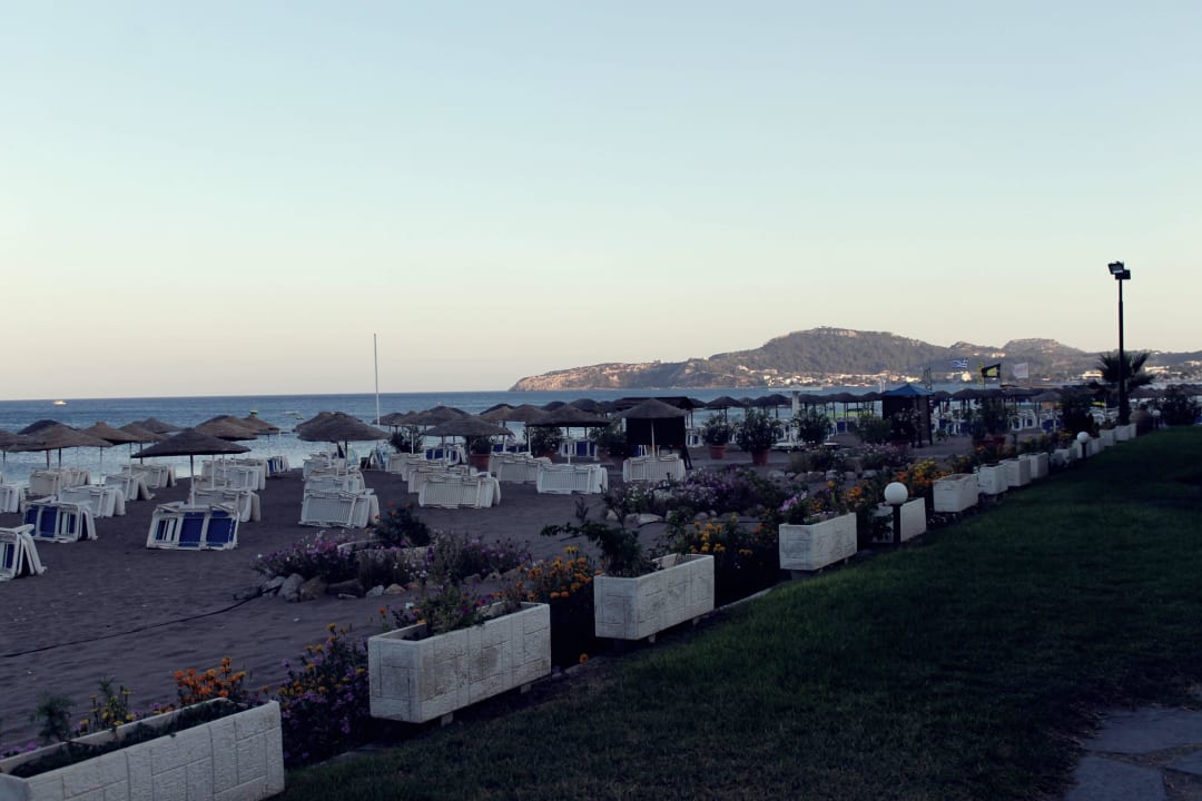 Strand mit ausreichend Liegen Hotel Calypso Beach