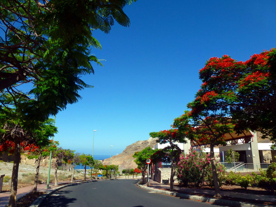 Die Straße zum Strand  Hotel Riu Vistamar