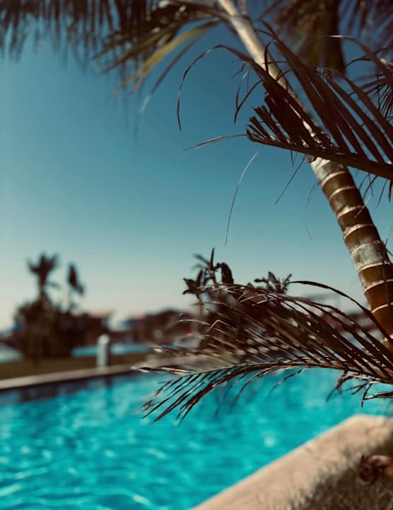 Ausblick Pickalbatros Sea World Resort - Marsa Alam