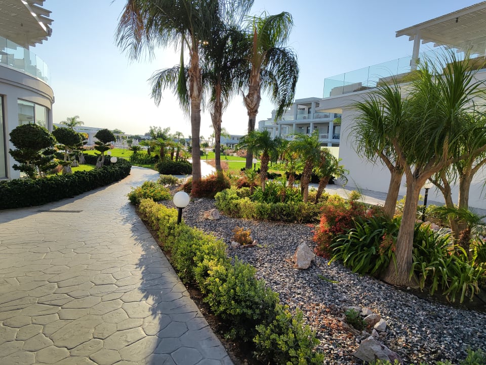 Gartenanlage Asterias Beach Resort