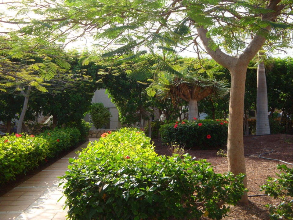 Sehr gepflegt SBH Hotel Taro Beach