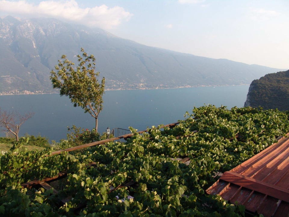 Aussicht Villa Selene