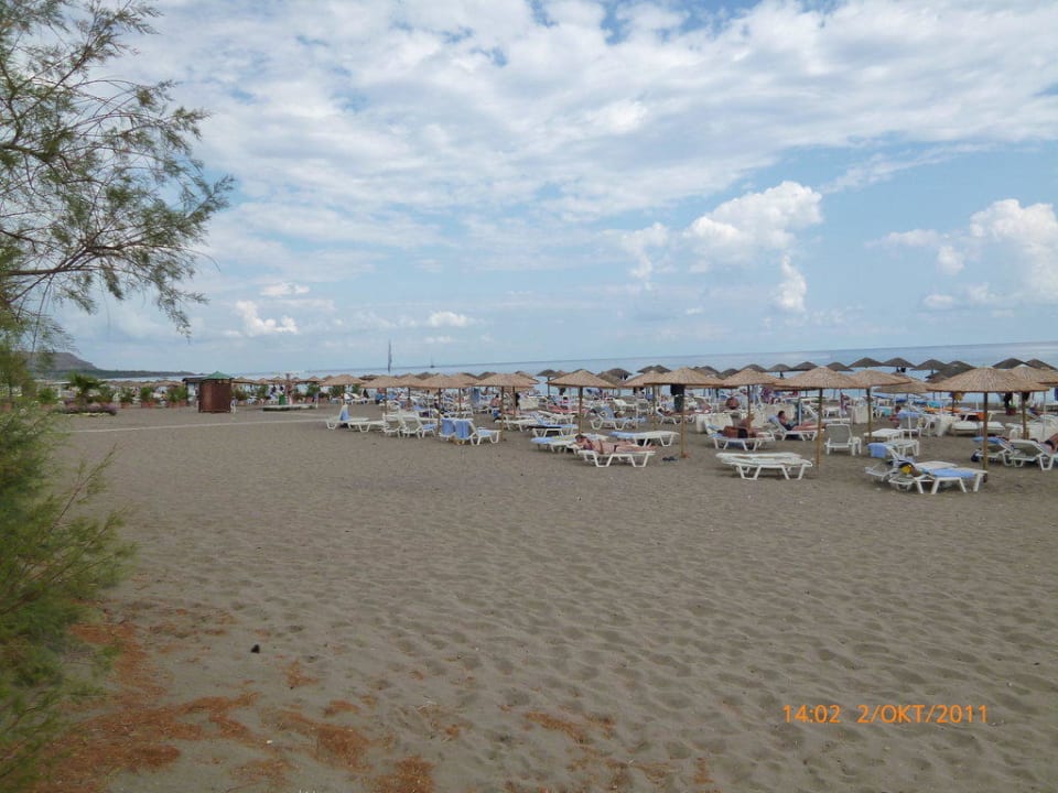 Strand Hotel Calypso Beach