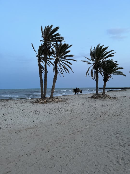 Strand Djerba Castille