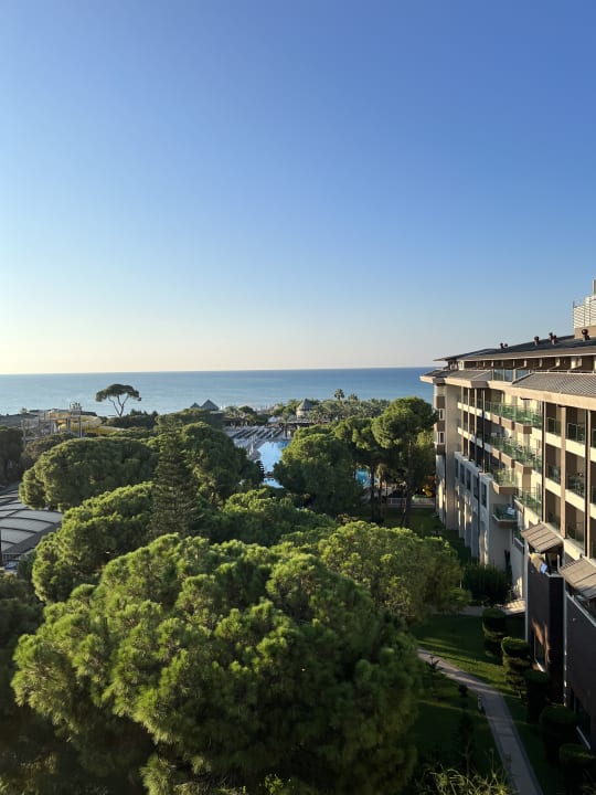 Ausblick Papillon Ayscha