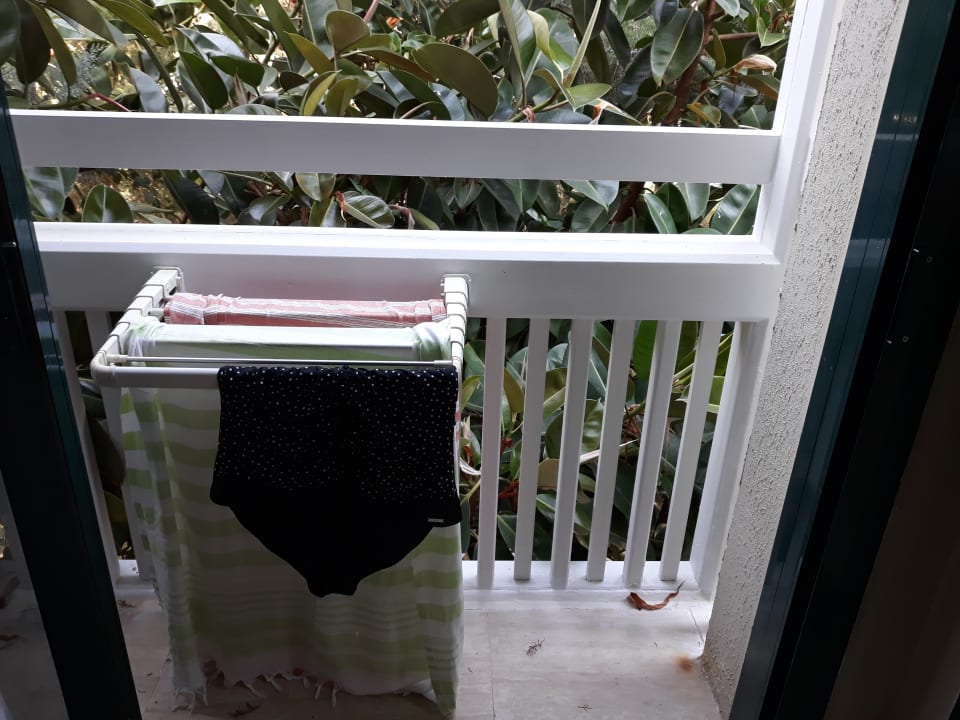 Zimmer PALOMA Perissia