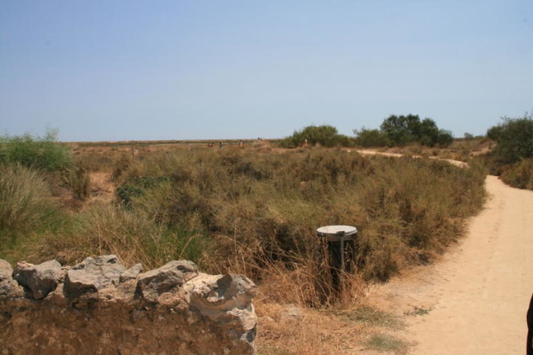 der Anfang des langen Weges (20minuten) Golden Club Cabanas